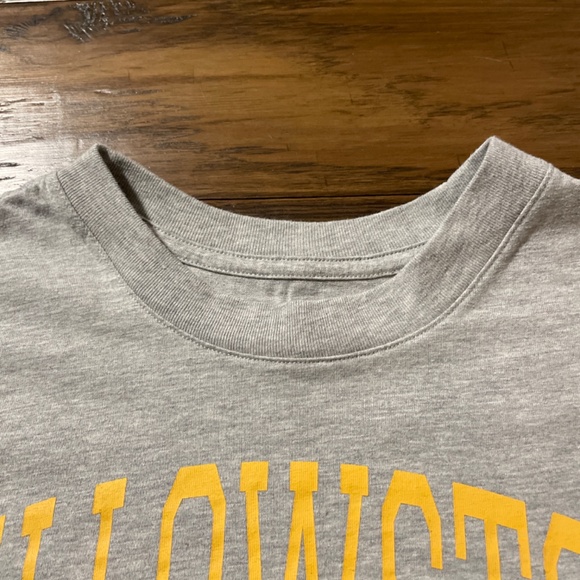 Gap Yellowstone National Park cropped long sleeve T shirt kids size XXL 18-20 - Picture 8 of 12